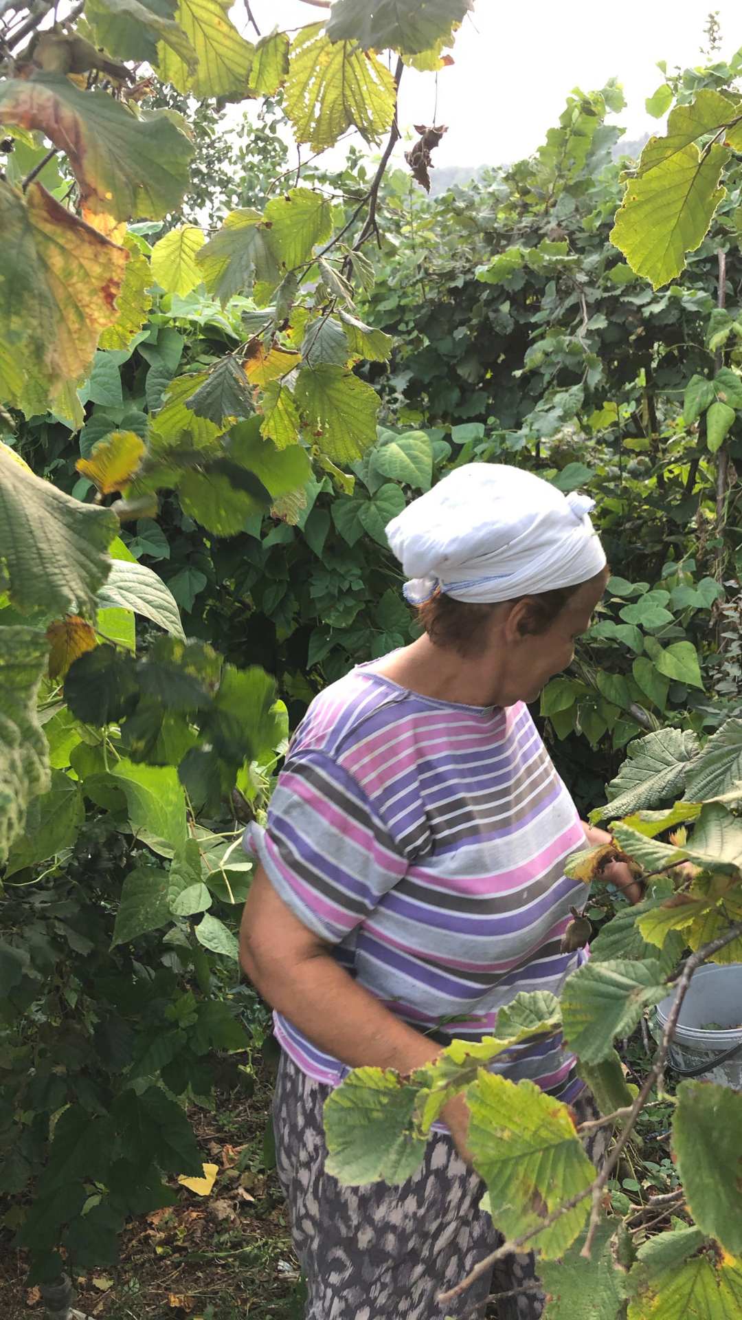 Love Letter No:10 Kadınlar, eşitlik